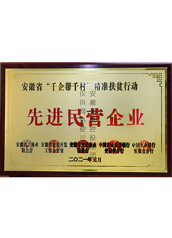 安徽省“千企幫千村”精準扶貧行動“先進民營企業(yè)”榮譽稱號