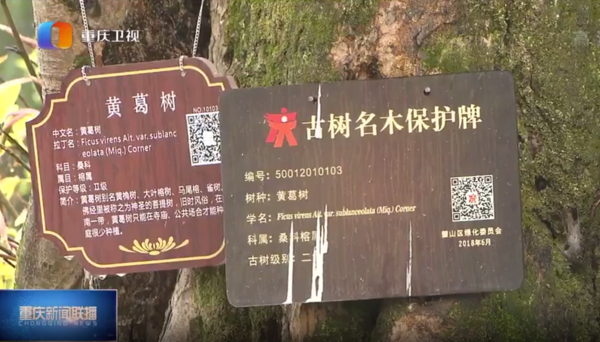 微信圖片_20220407173335 微信圖片_20220407173335