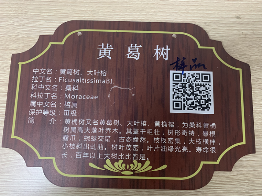 微信圖片_20220407174146 微信圖片_20220407174146