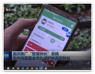 新聞報道天保項目1 新聞報道天保項目1