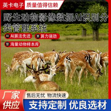 野生動(dòng)物紅外相機(jī)抓拍圖片AI識(shí)別分類管理平臺(tái)