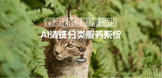 野生動物圖像AI識別分類技術的應用前景和價值分析 